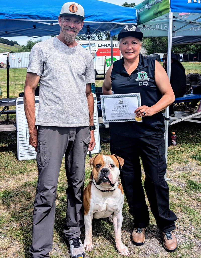 Ridley's Cash, PSA protection dog certified. Bred, handled, and certified by Garrett.