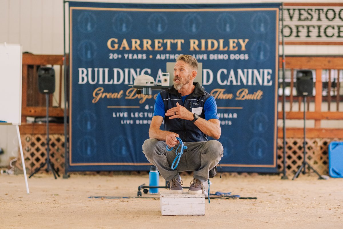 Learn from live demonstrations during the lecture.