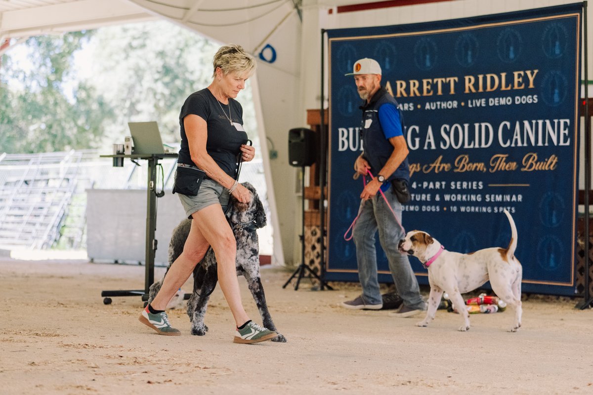 Teach your dog to engage, even with distractions.