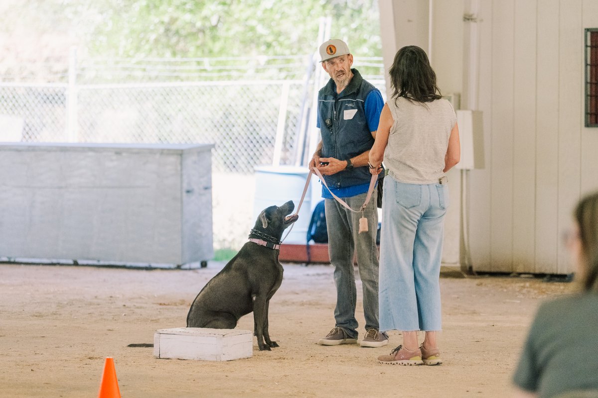 Proper evaluations lead to clear training.