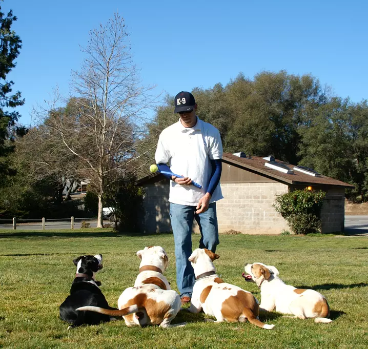 Trainer with four dogs in a park.