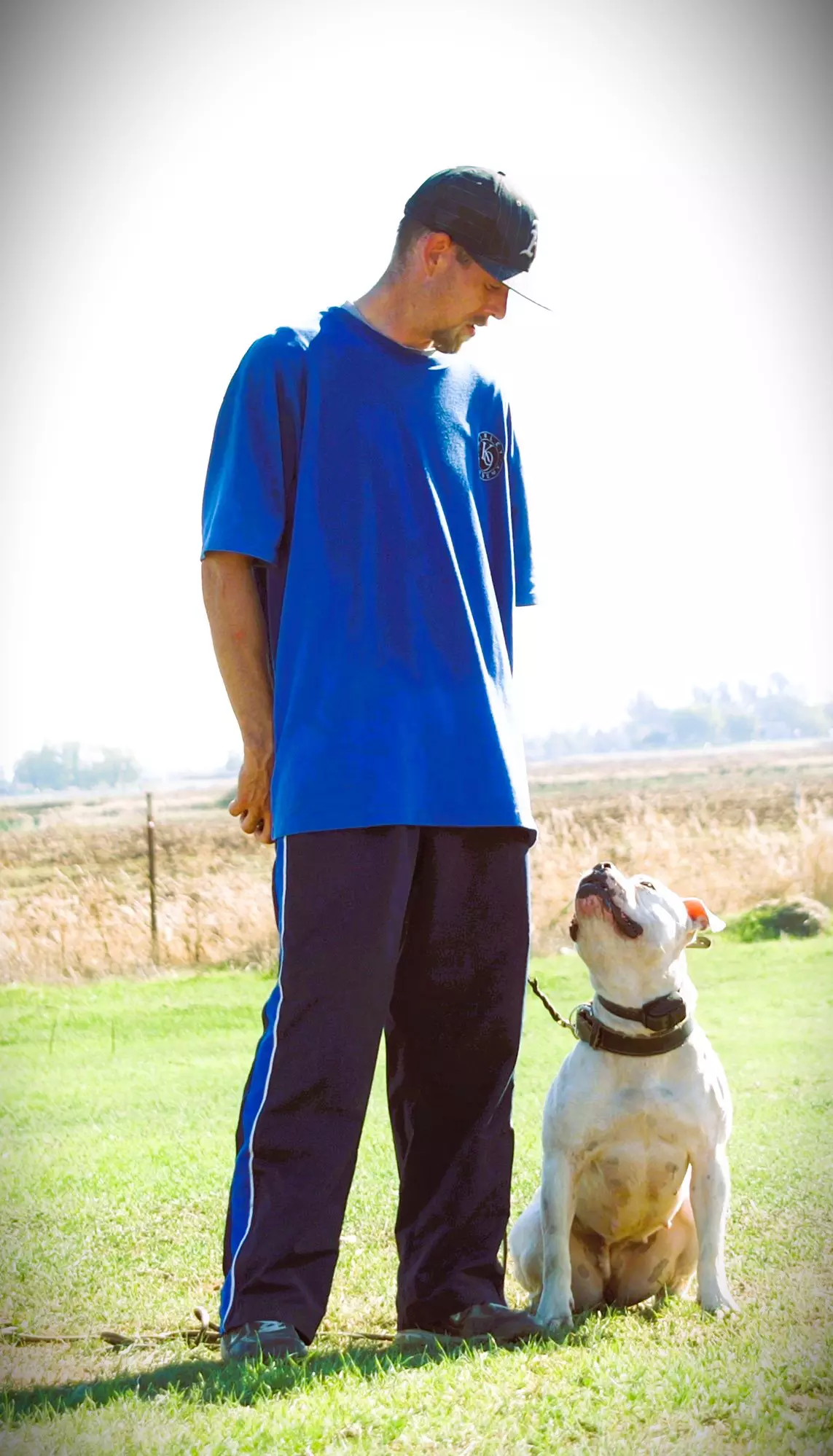 Man in blue shirt with pitbull looking up.